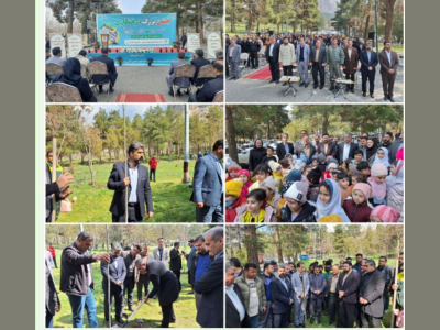 سرپرست سازمان سیما، منظر و فضای سبز شهرداری کرمانشاه:

امسال ۱۳ هزار اصله درخت در شهر کرمانشاه کاشته شد
