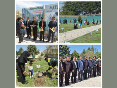 در ادامه برنامه پویش کاشت نهال؛
کاشت نهال امید «نفسهای تازه شهر» در پارک امام علی (ع)