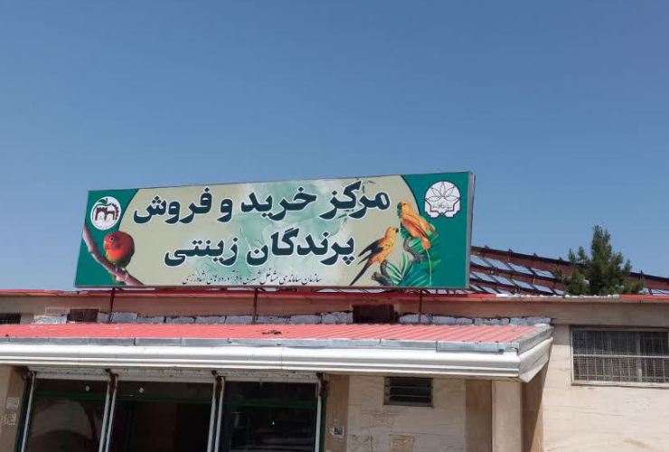 رئیس سازمان  ساماندهی مشاغل شهری و فرآورده های کشاورزی شهرداری کرمانشاه خبر داد؛    هشت بازار میوه و تره بار در سطح شهر کرمانشاه احداث می شود 